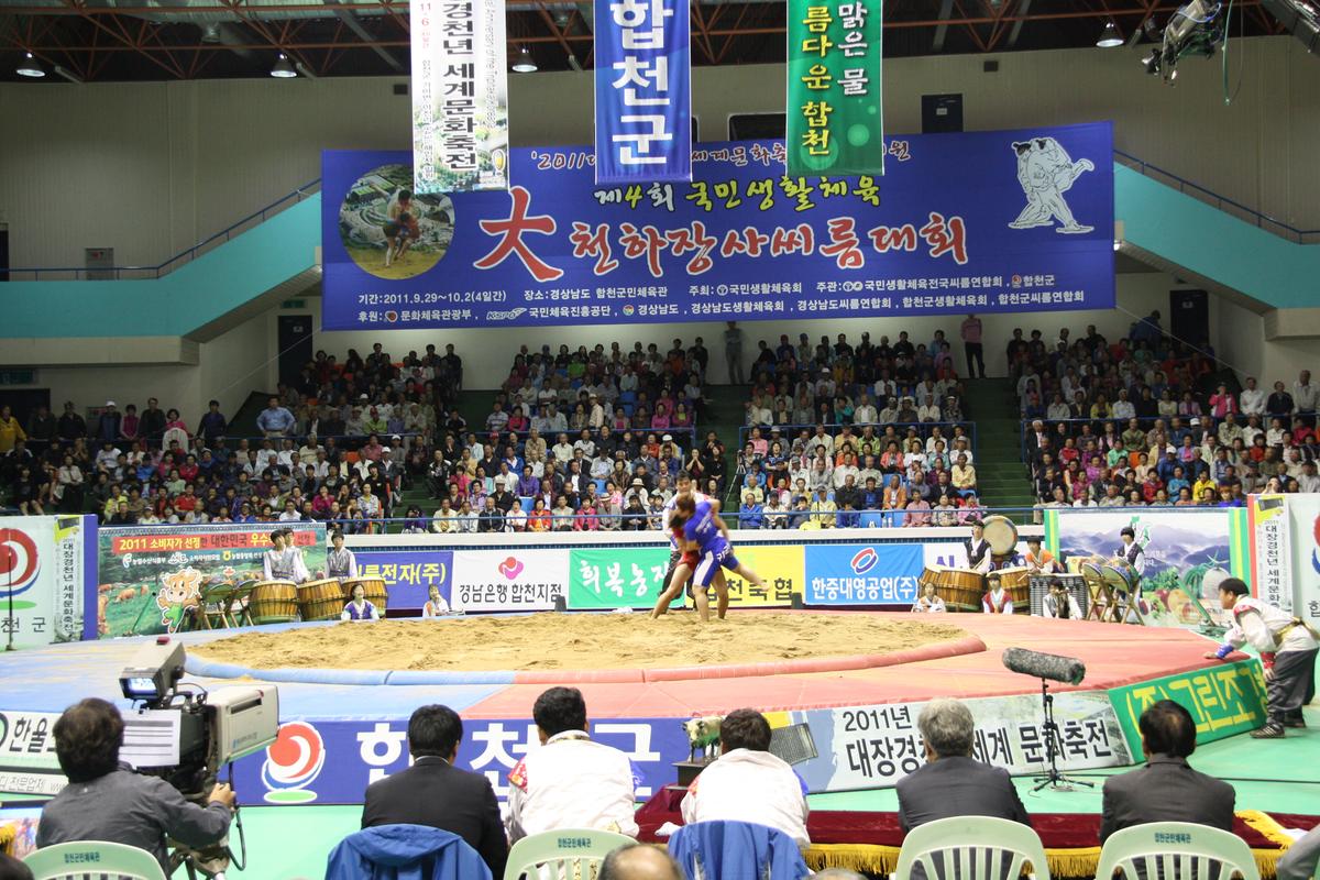 천하장사씨름