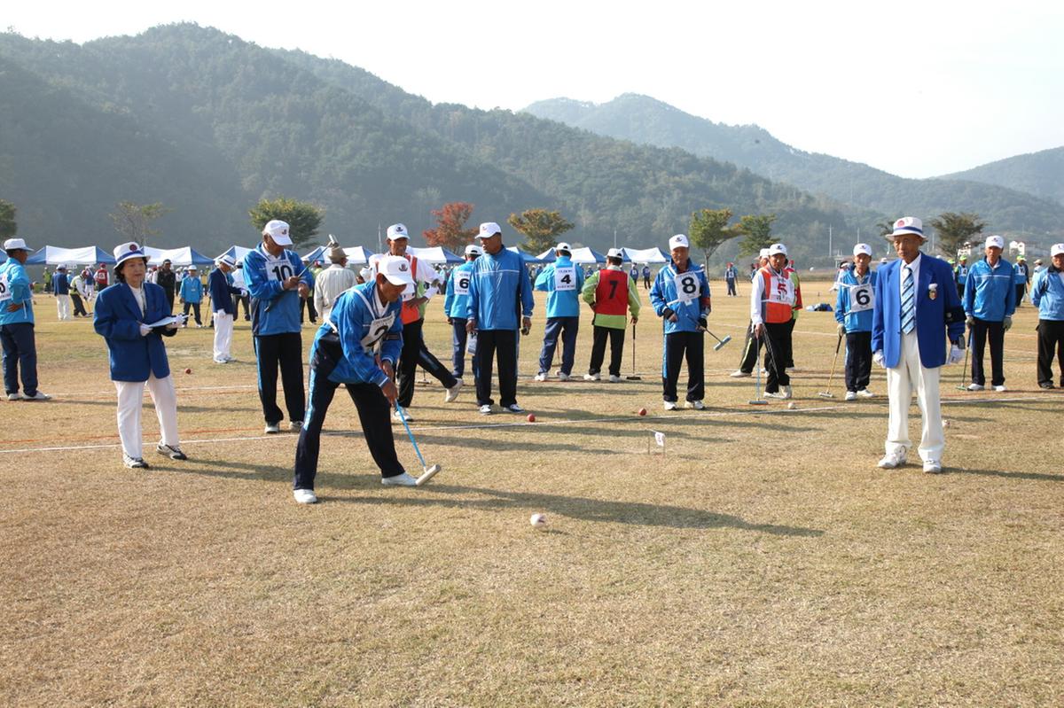합천군수기 게이트볼 대회