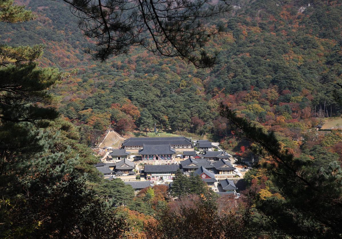 해인사