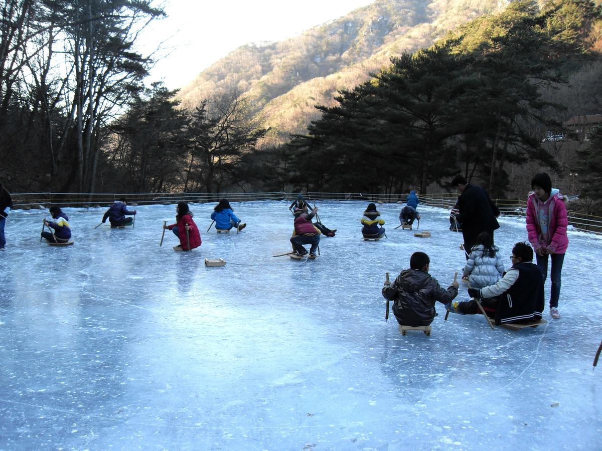 오도산 썰매장 개장