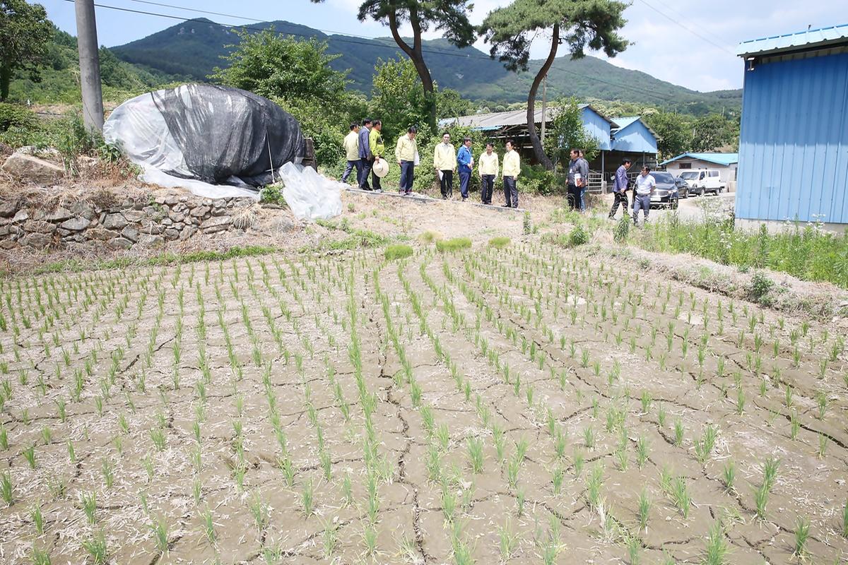 가회둔내가뭄대비농업용수공급현장