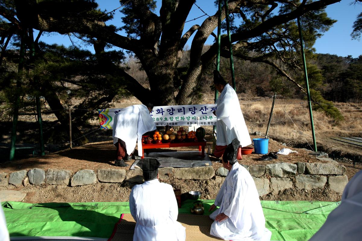 묘산상나곡동제