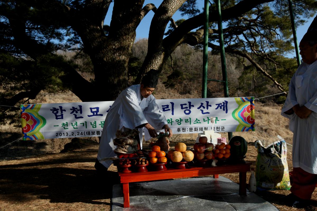묘산상나곡동제