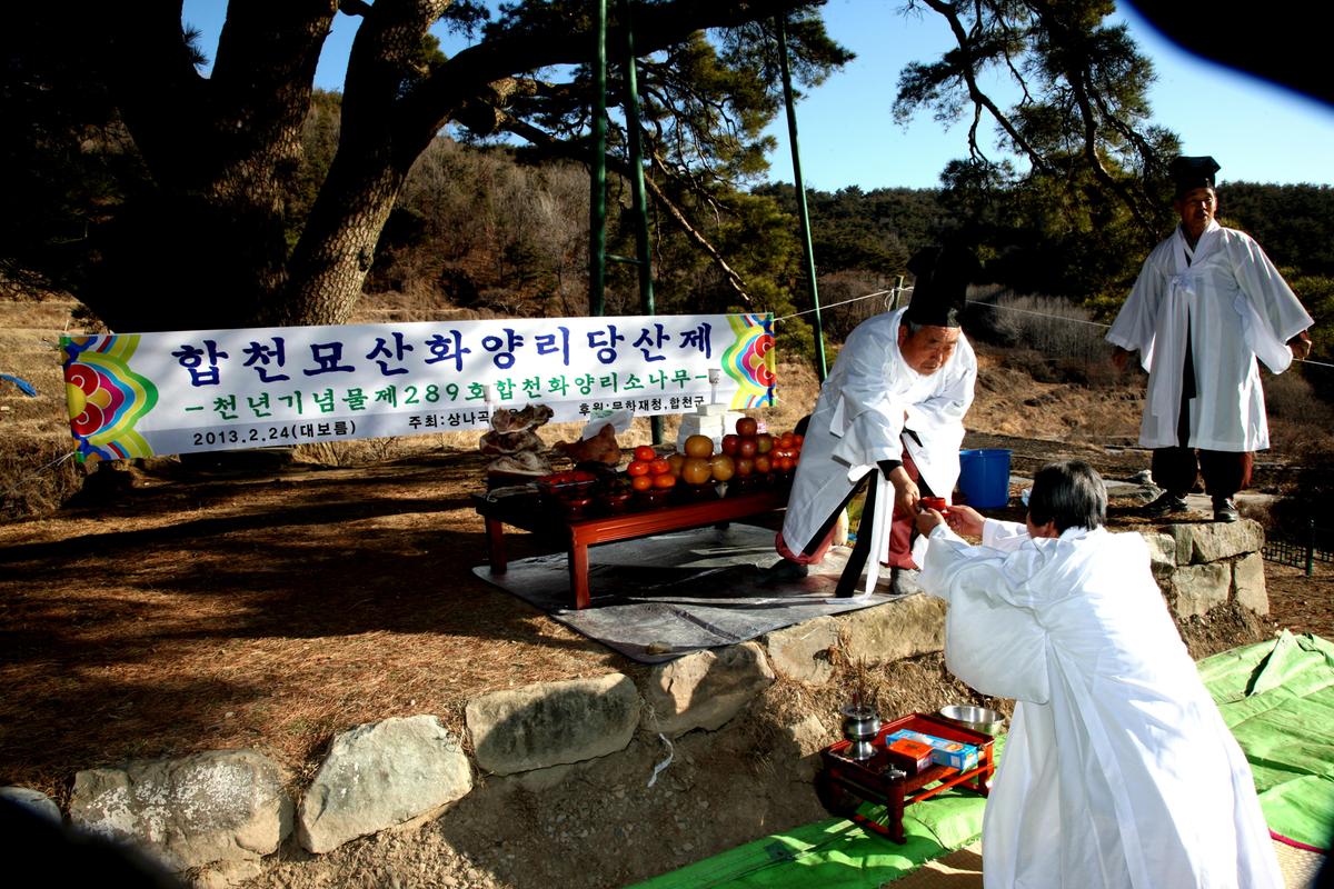 묘산상나곡동제