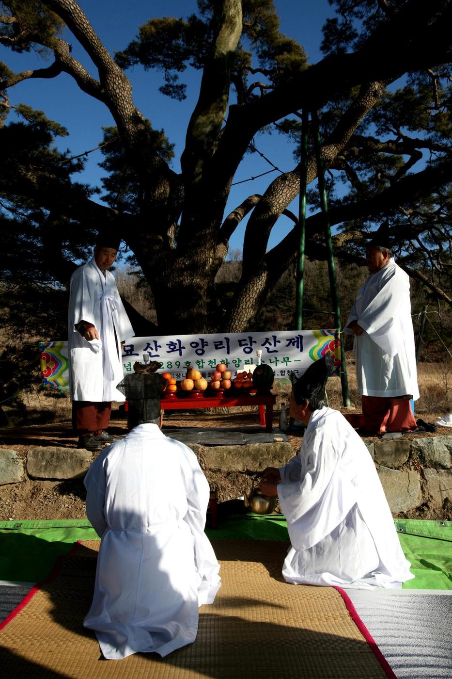 묘산상나곡동제