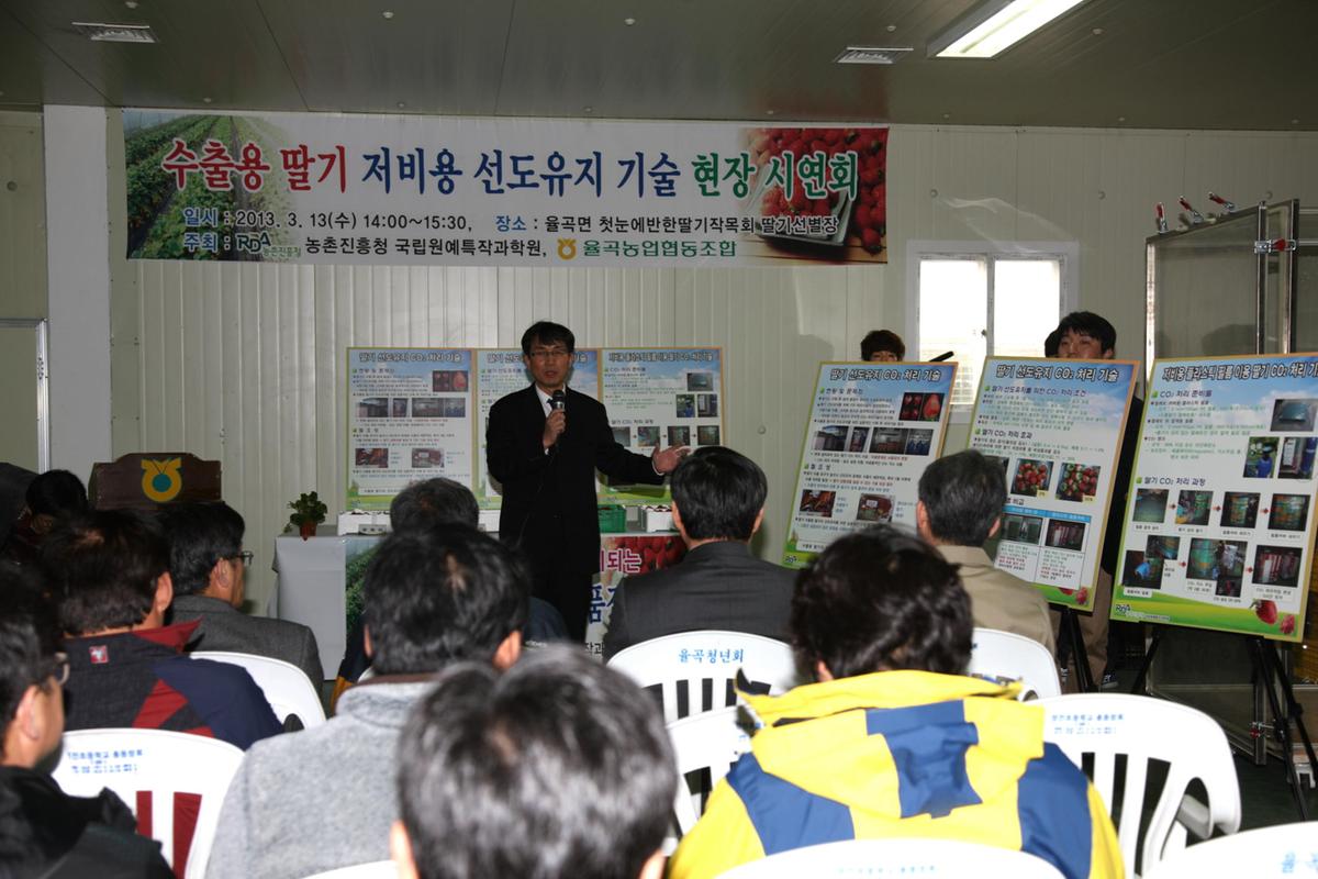 합천 딸기 시연회