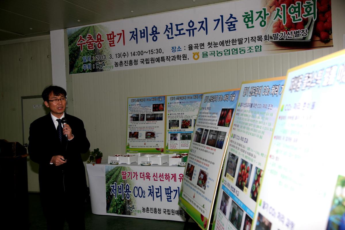 합천 딸기 시연회