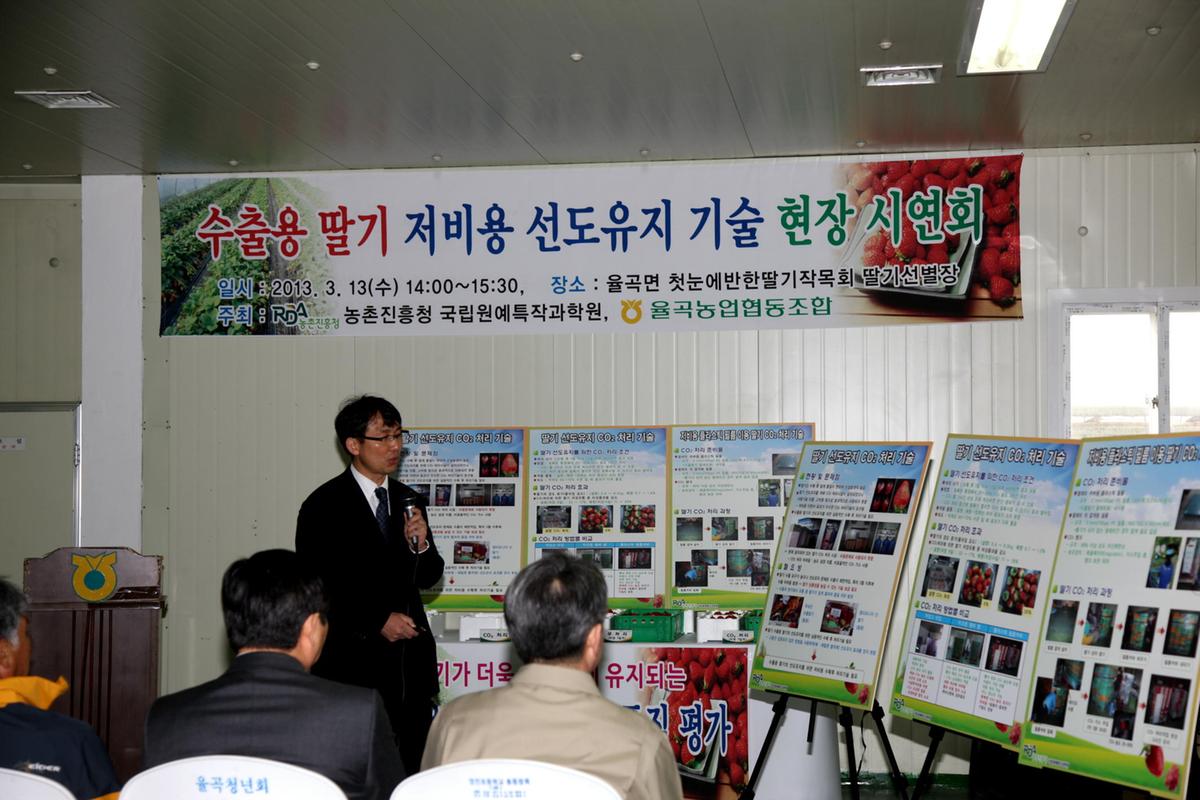 합천 딸기 시연회