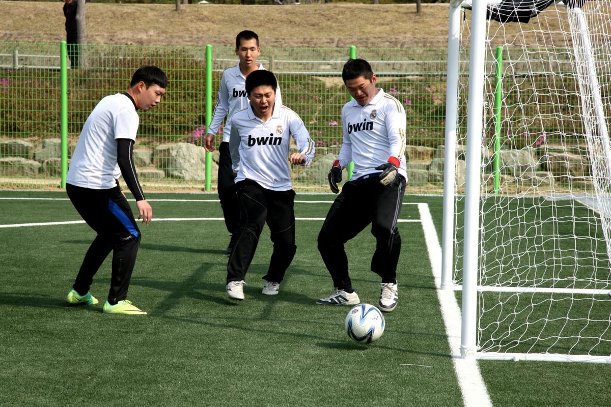 합천 풋살축구경기장