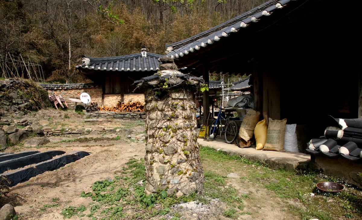 대양심씨고가