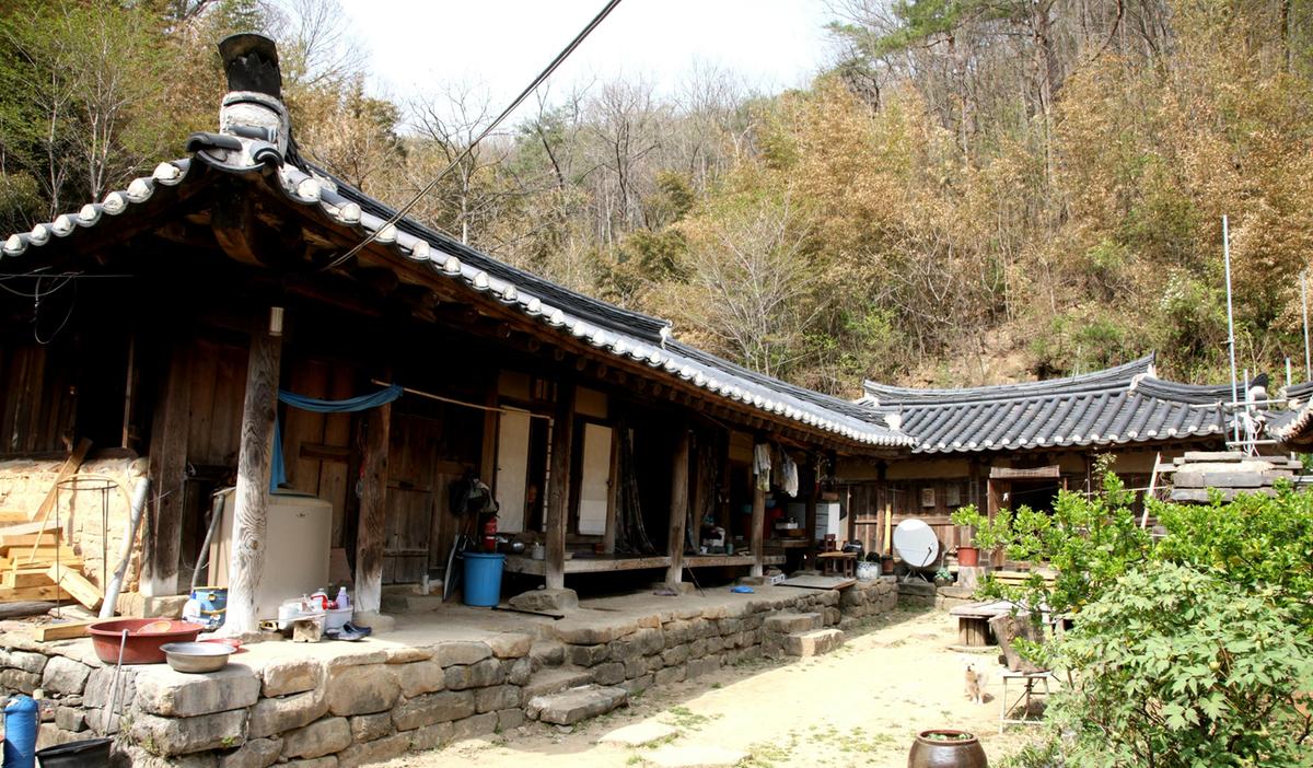 대양심씨고가