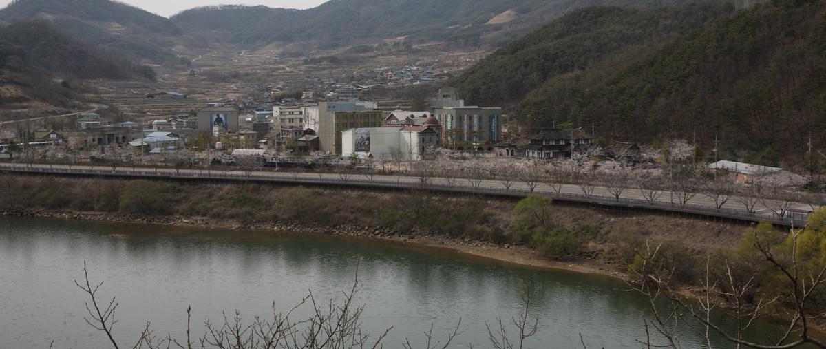 합천100리 벚꽃길