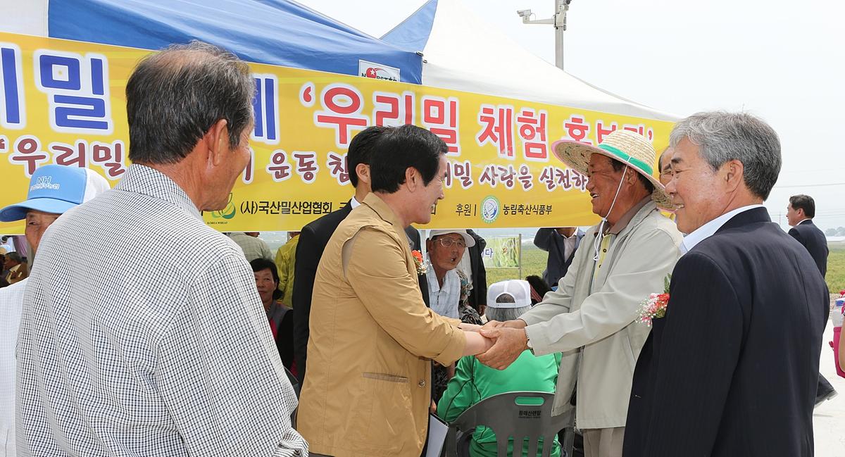우리밀 밀사리문화 행사
