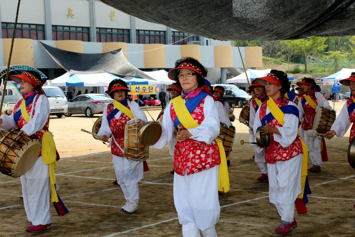 제44회 야로면민체육대회