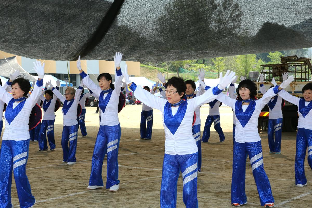 제44회 야로면민체육대회