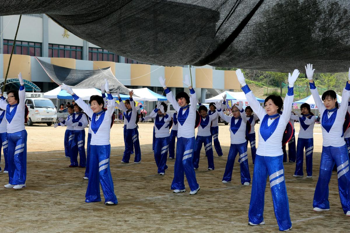 제44회 야로면민체육대회