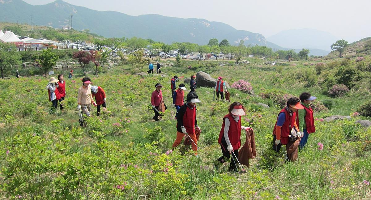 합천여성단체 환경정화활동