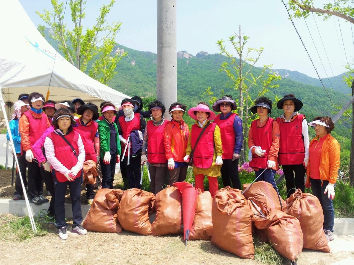 합천여성단체 환경정화활동
