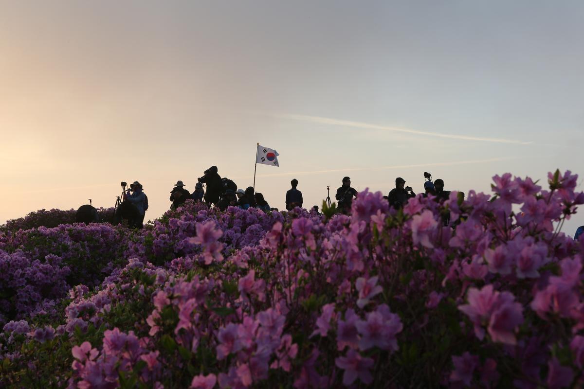 황매산 철쭉