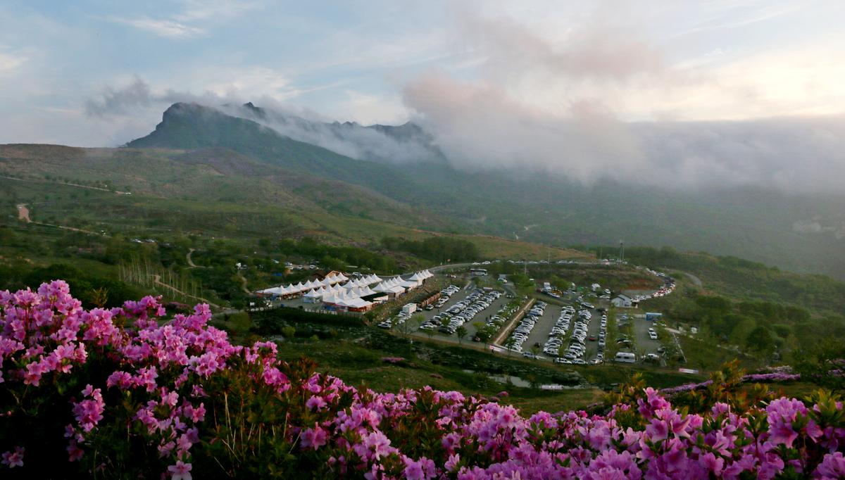 황매산 철쭉