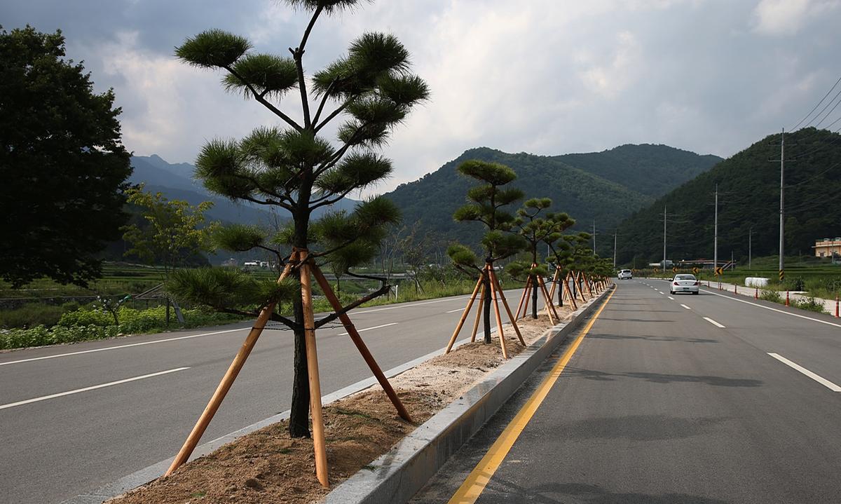 가야간야로도로 가로수