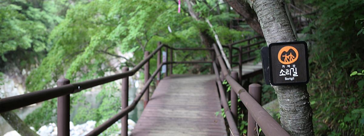 가야산 소리길