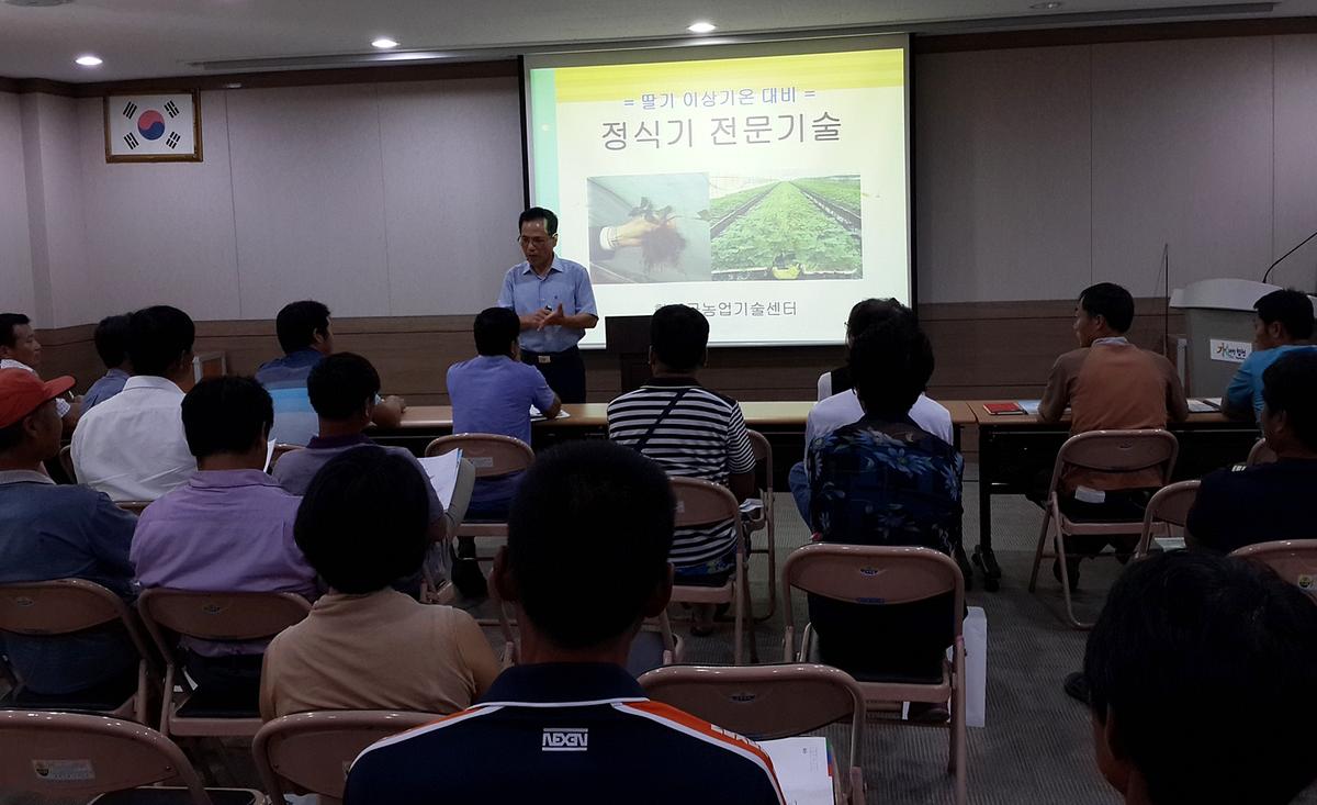 딸기교육