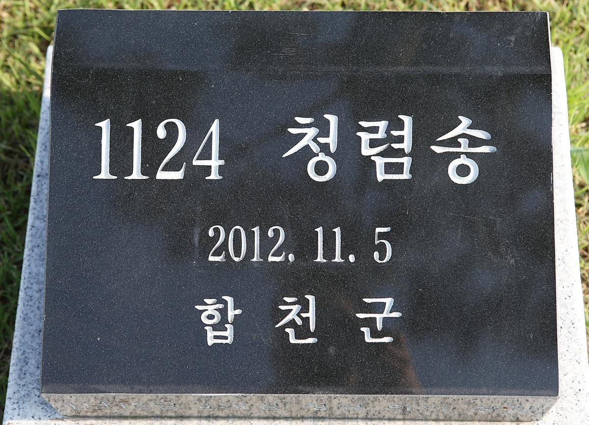 합천 청렴