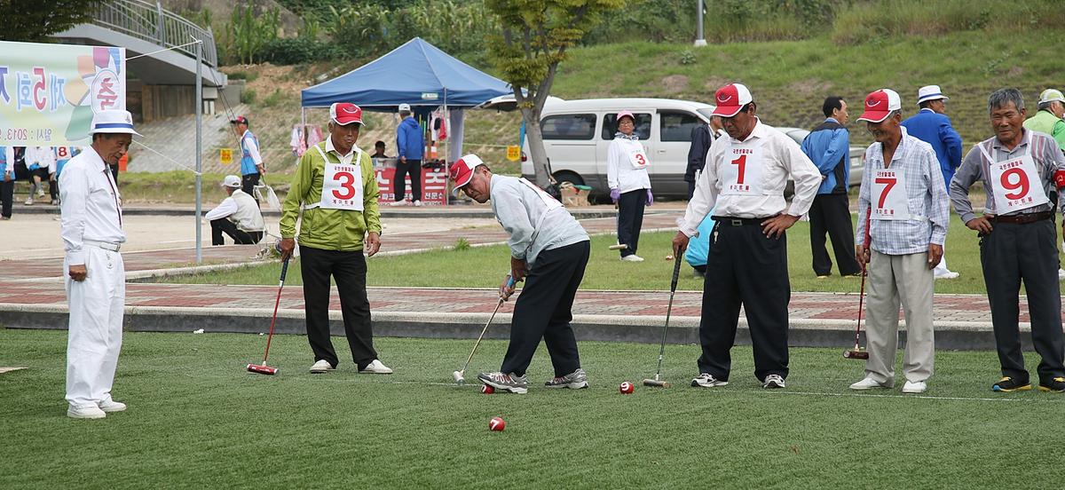 제5회 합천군지회장기 게이트볼대회