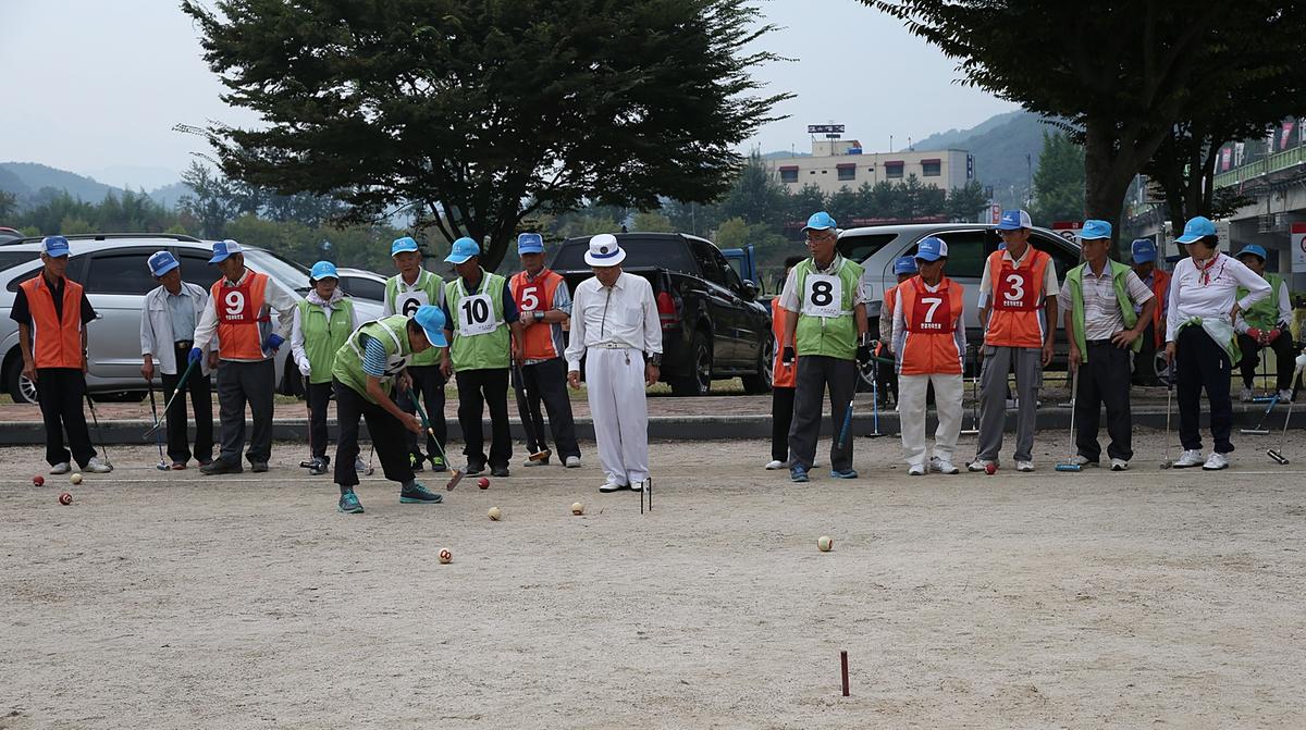 제5회 합천군지회장기 게이트볼대회