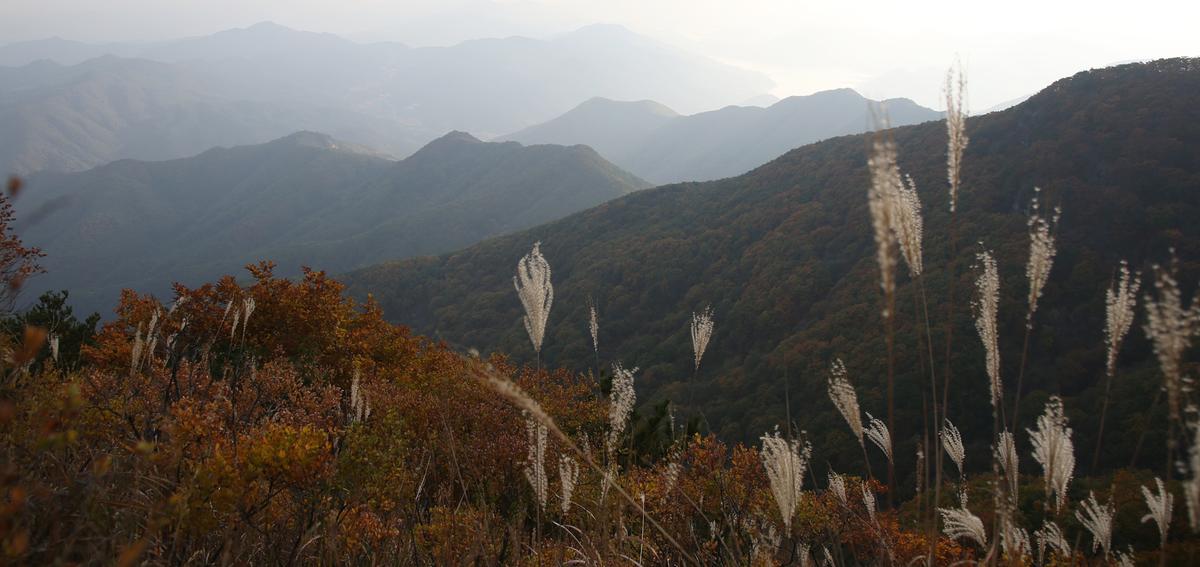 오도산