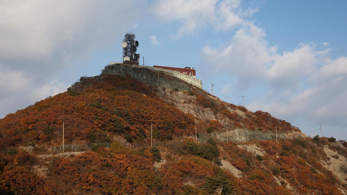 오도산