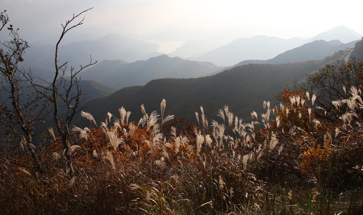 오도산