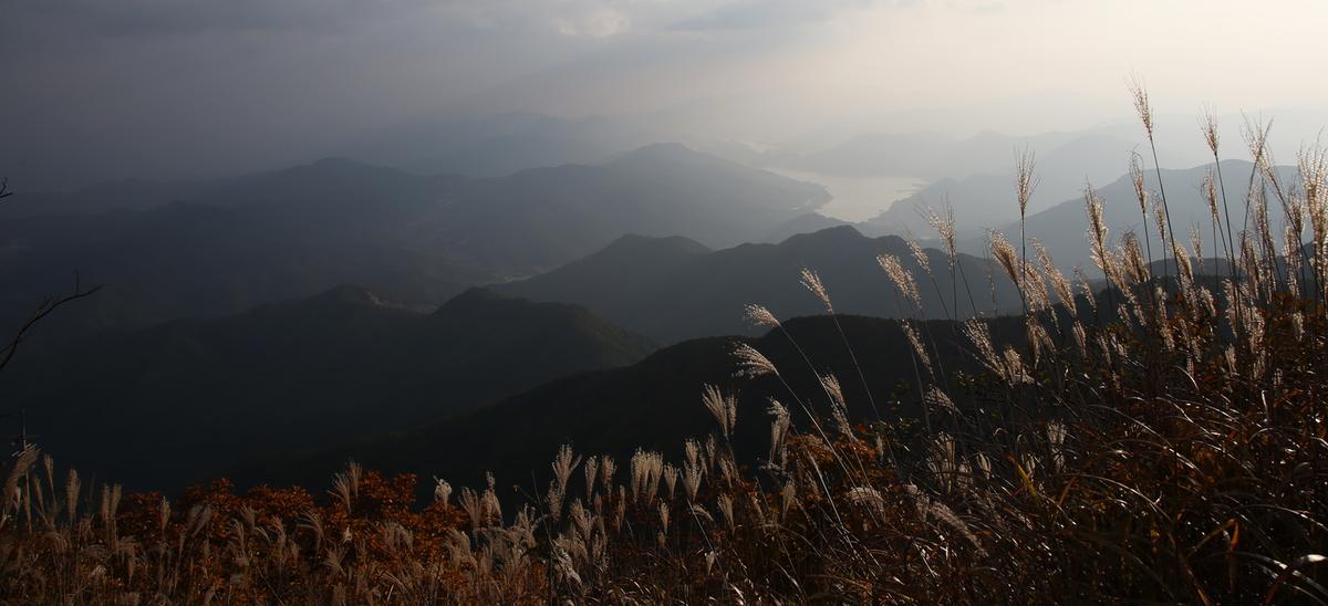 오도산