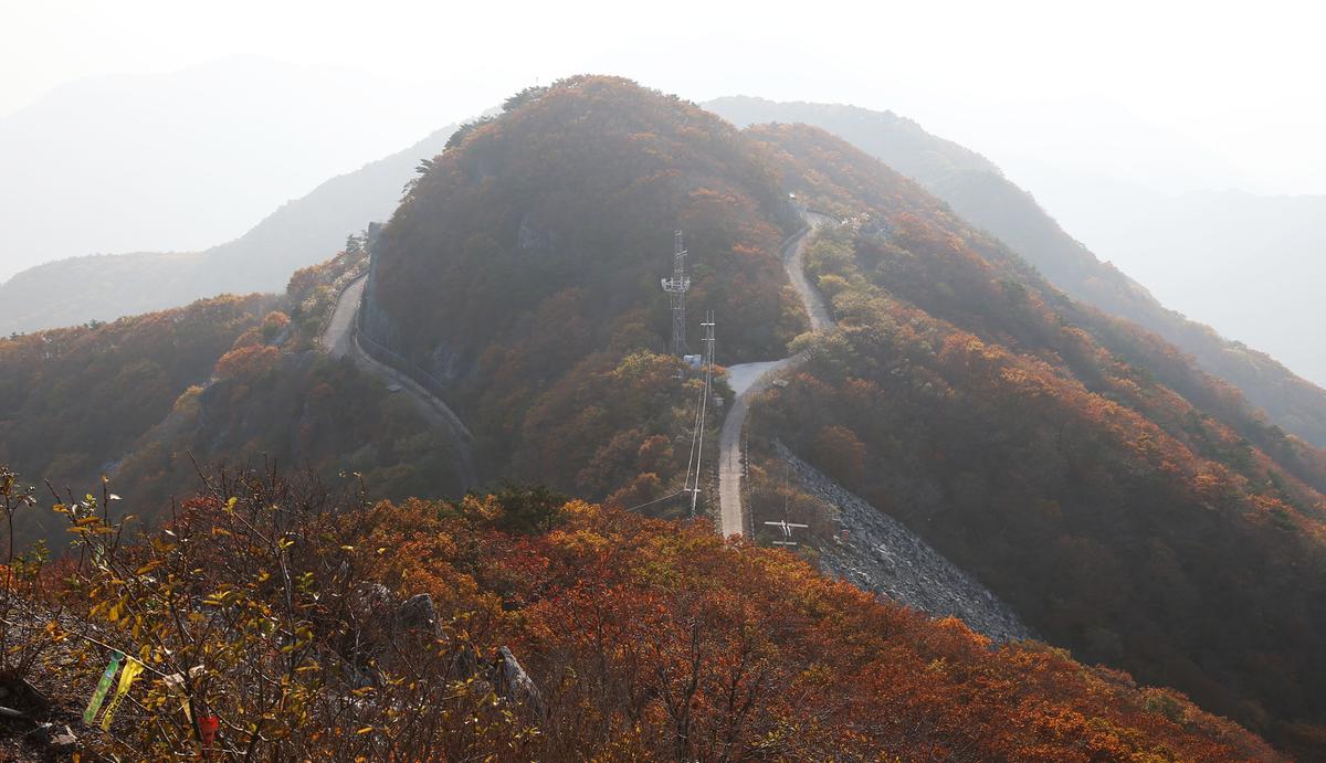 오도산
