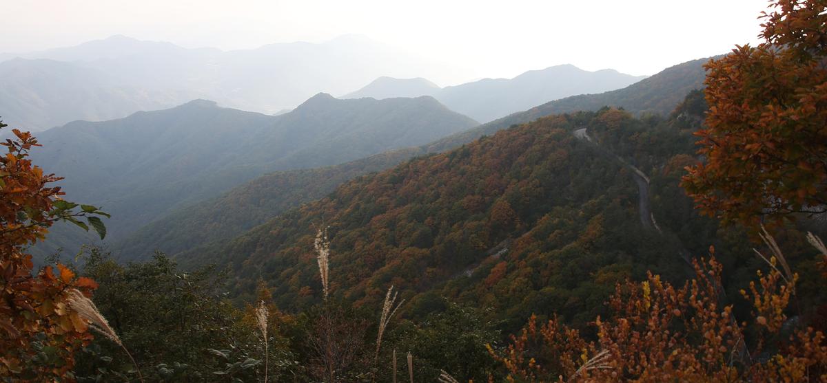 오도산