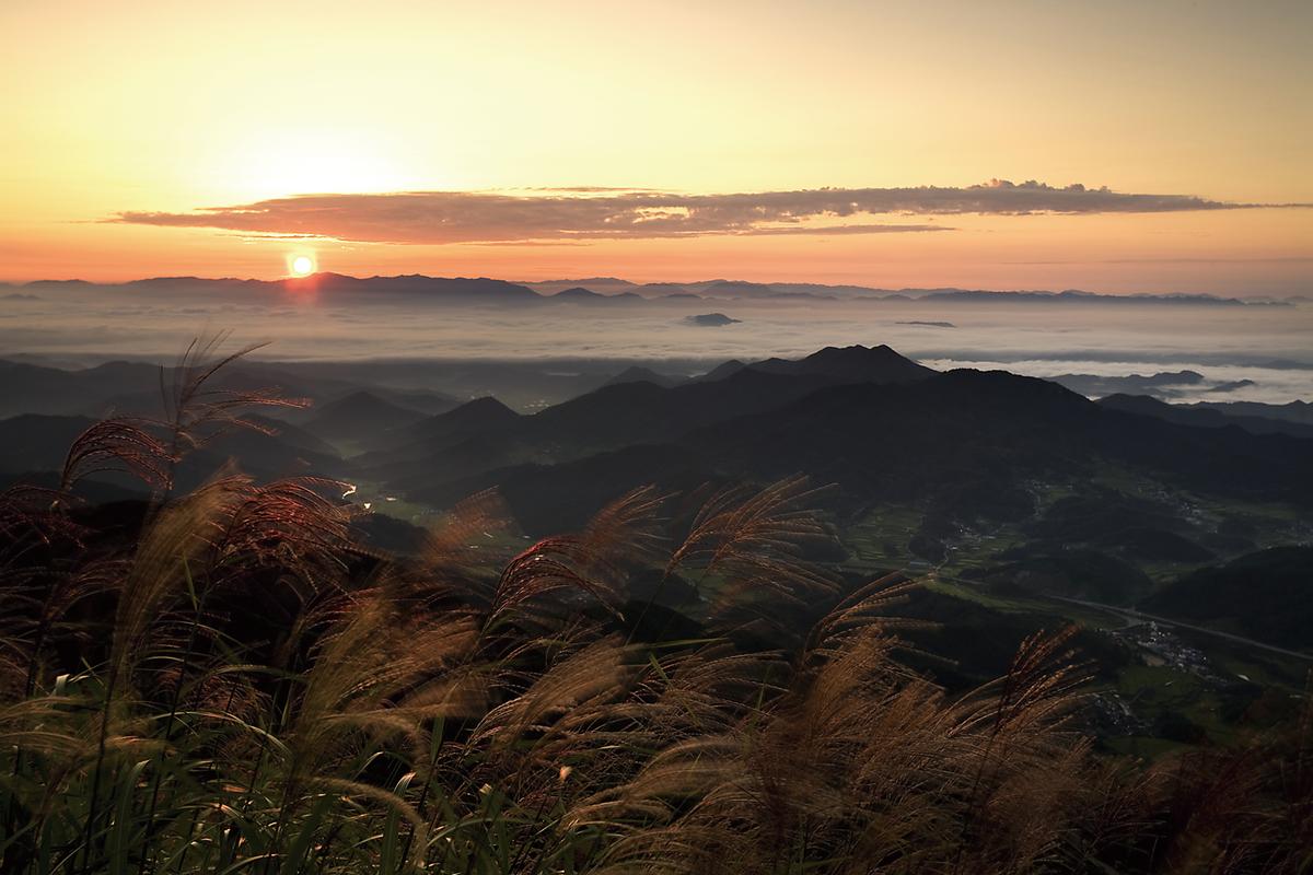 오도산
