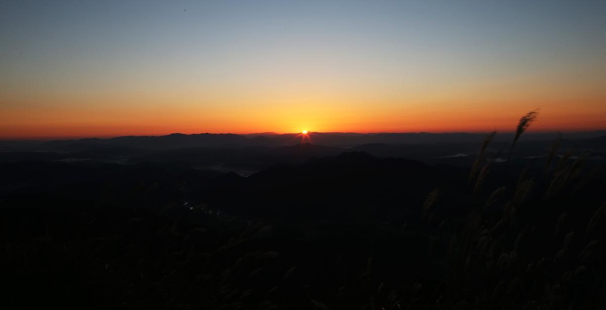 오도산