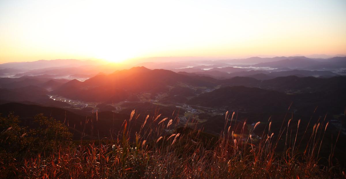 오도산