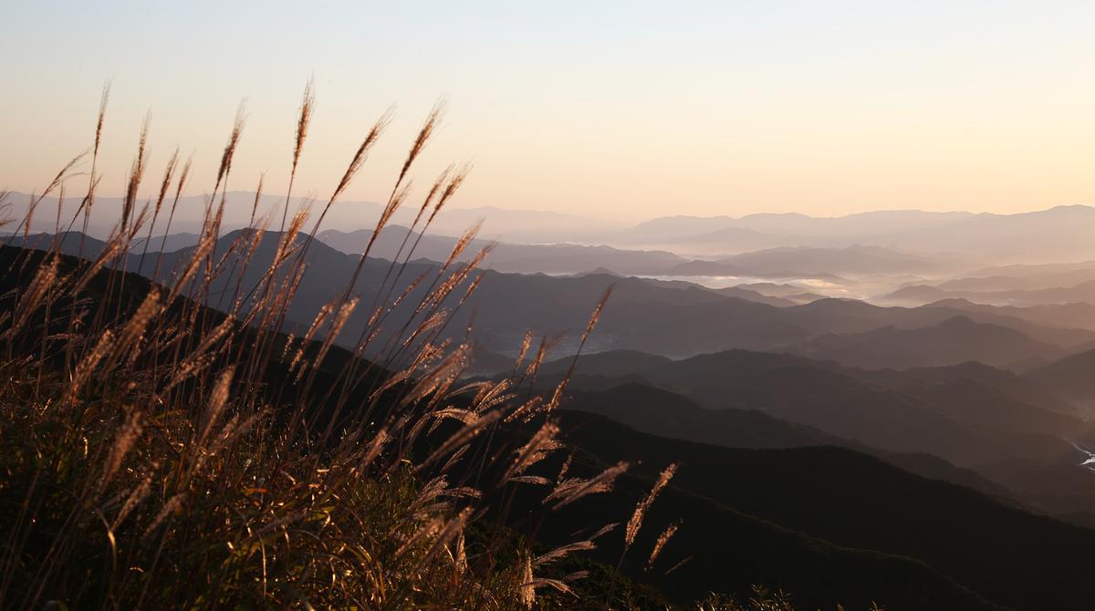 오도산