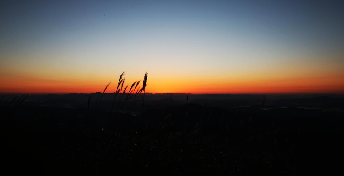 오도산