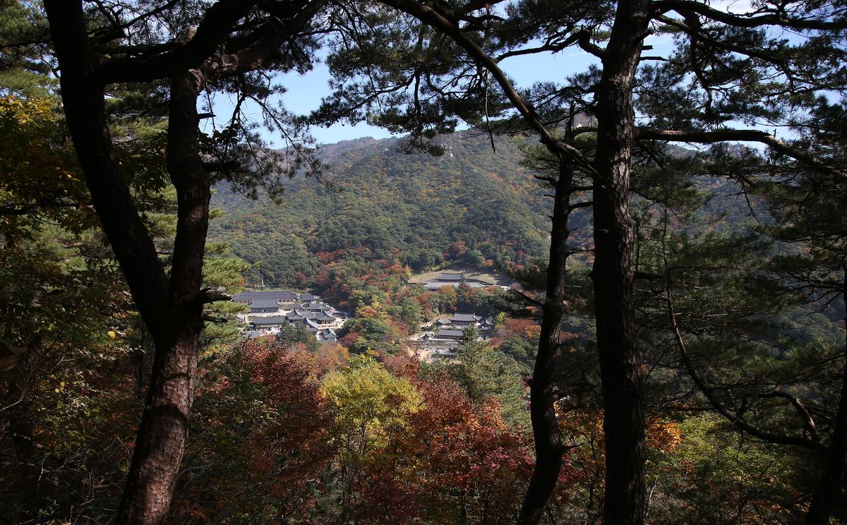 해인사 소리길