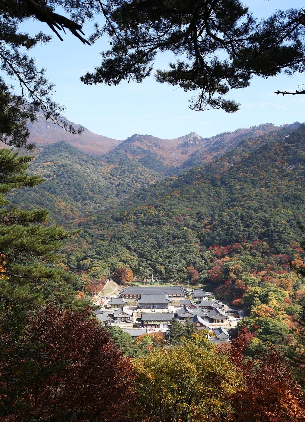 해인사 소리길