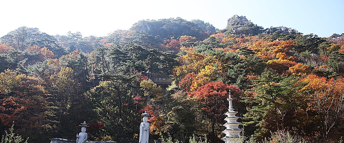 해인사 단풍