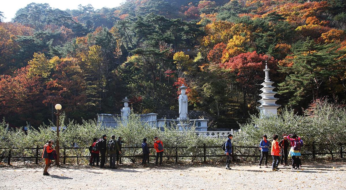 해인사 단풍