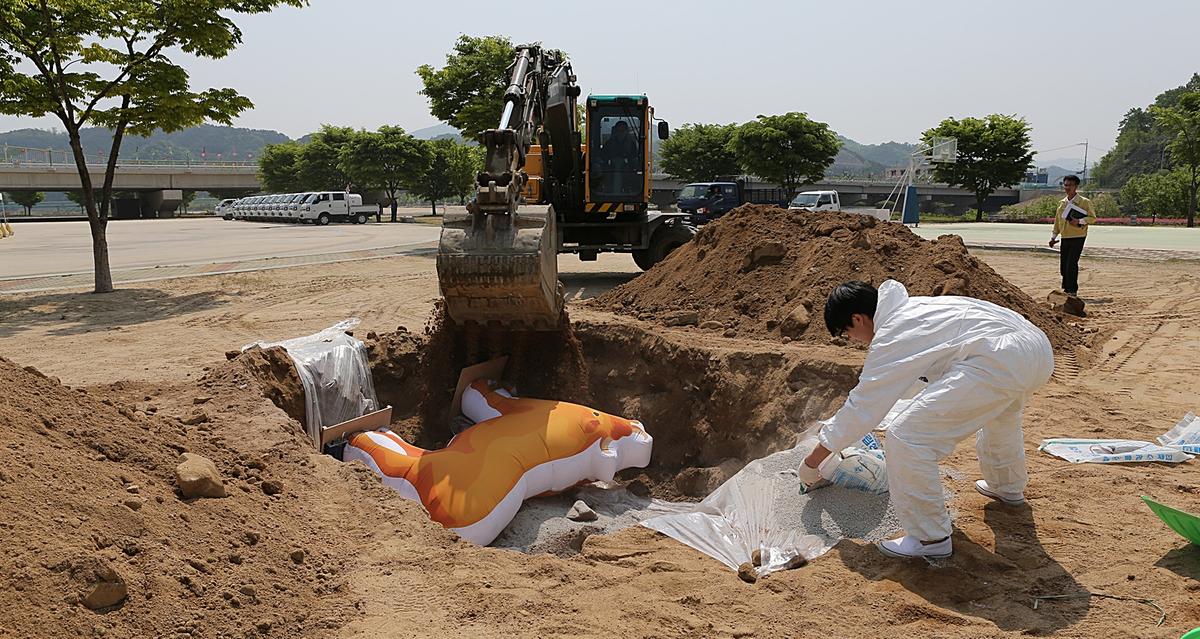 2013년재난대응안전한국훈련