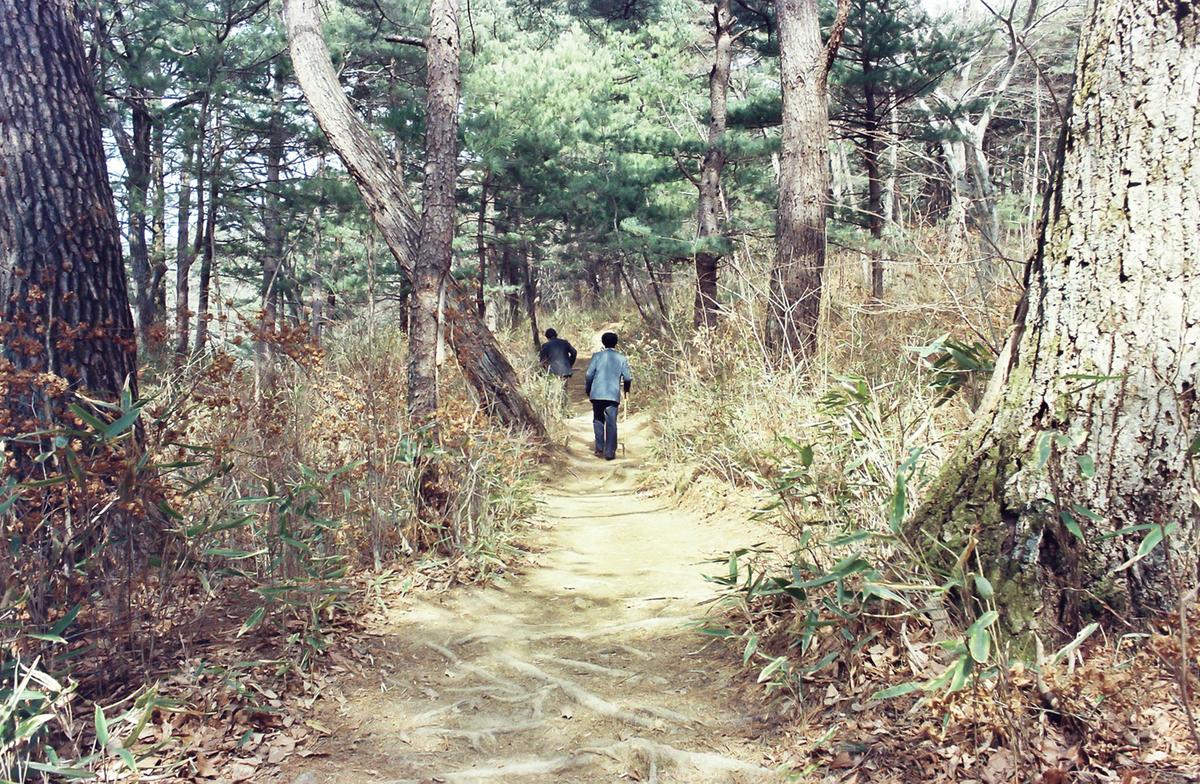산길