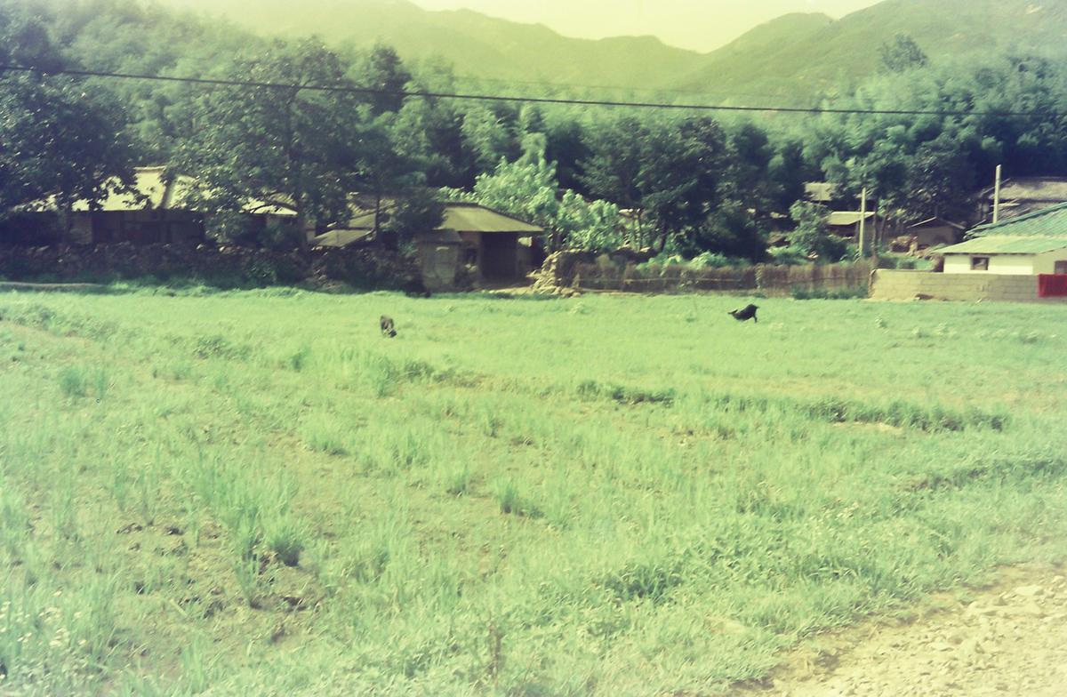 풍경