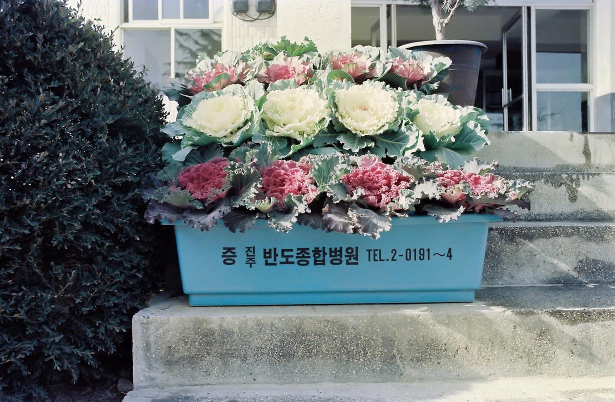 농촌지도소