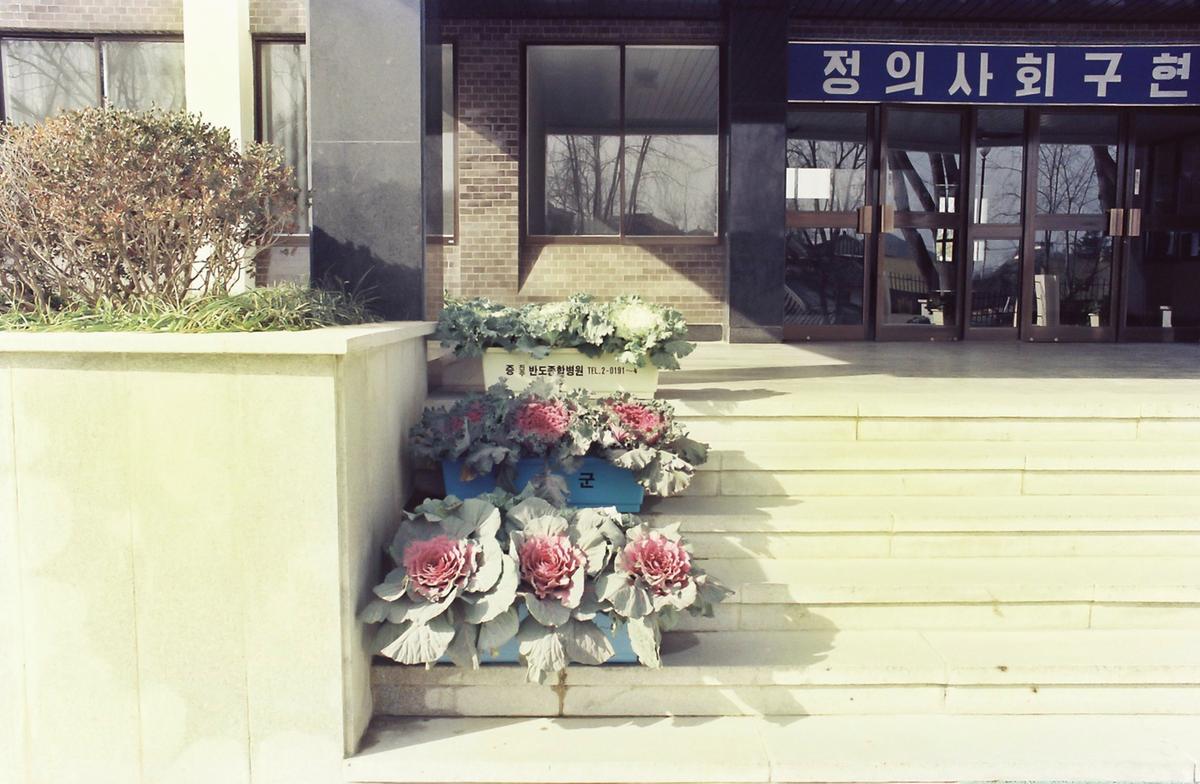 농촌지도소